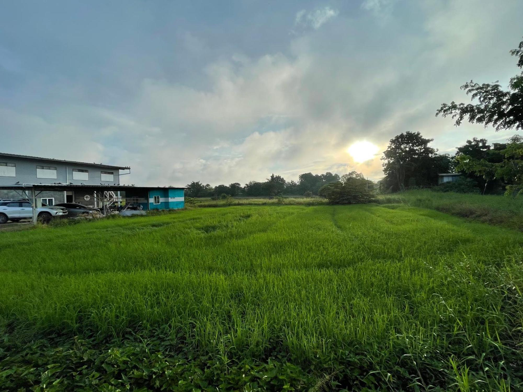 Srihome ยายศรีโฮมแอนแคมป์ปิ้ง Ban Don Tum Exterior foto